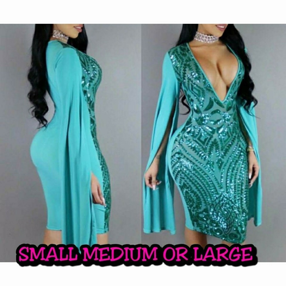 Brand New nwt sequin mesh dress